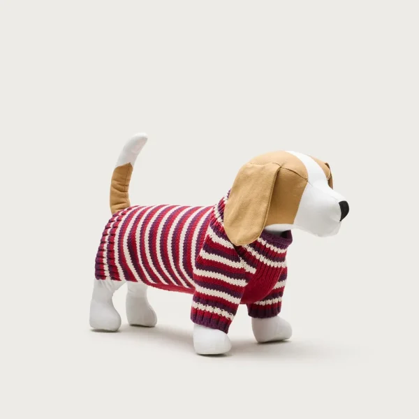 Limited-edition striped cotton Rollneck™ sweater for dogs