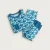 CE738_BLUE