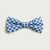 LAKESIDE BLUE GINGHAM