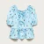 CR579_CHATEAU BLUE