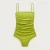 CS322_VIBRANT FERN